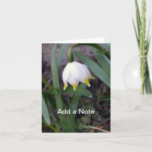 Cartão De Notas Primavera Snowflake Leucojum vernum Personalizável