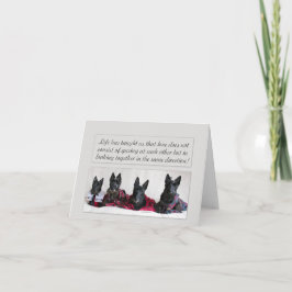 Cartão De Notas Procurando por amor