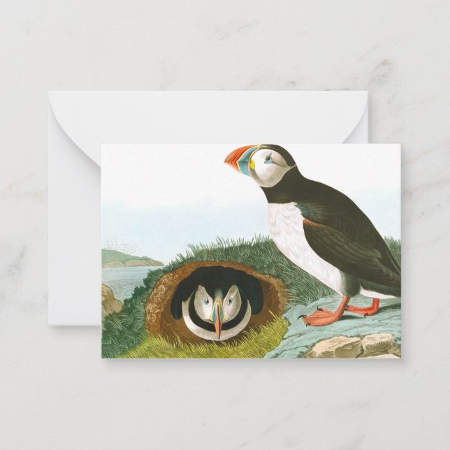 Cartão De Notas Puffin por John James Audubon (Frente)