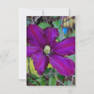 Cartão De Notas Purple Clematis Flower