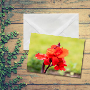 Cartão De Notas Red Lily