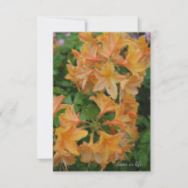 Cartão De Notas Rhododendron amarelo