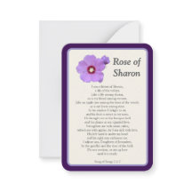 rosa da Sharon Notecard "I Prayed for You Today"