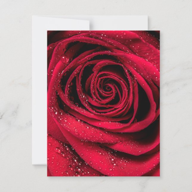Cartão De Notas Rosa Petals 1 (Frente)