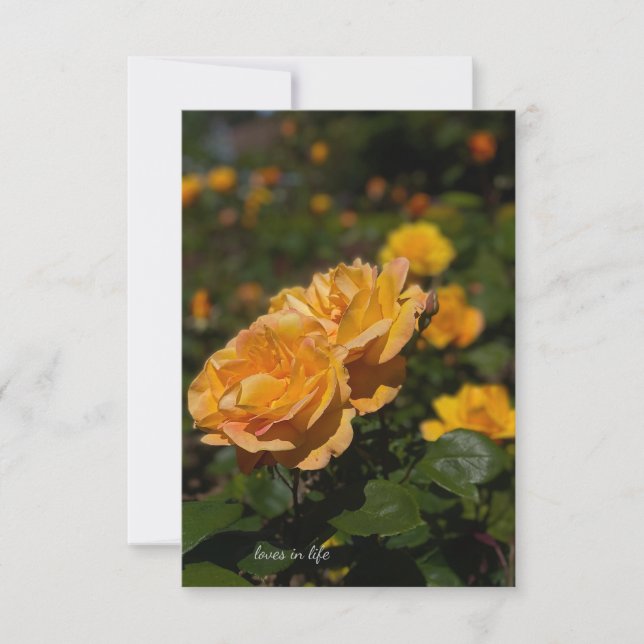 Cartão De Notas Rosas Amarelas (Frente)