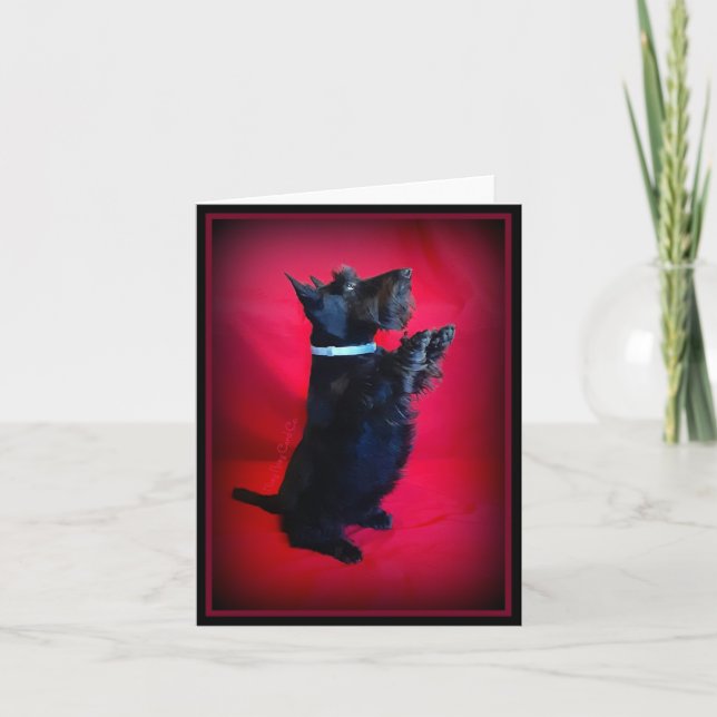 Cartão De Notas Sentado Bonito (Frente)