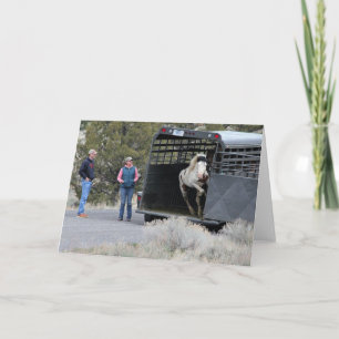 Cartão De Notas Shaman saindo da placa de nota dobrada do reboque