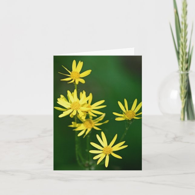 Cartão De Notas Softly Yellow Wildflowers Photography  (Frente)