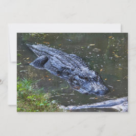 Cartão De Notas Sombra nas Águas Rasas