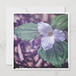 Cartão De Notas Sprint Trillium Autochrome Style