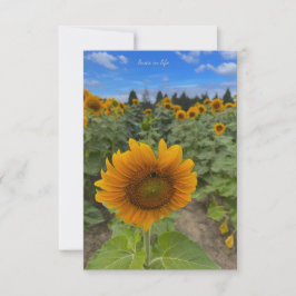 Cartão De Notas Sunflower Field & Bee