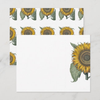 Cartão De Notas Sunflower Hortus Eystettensis , 1713