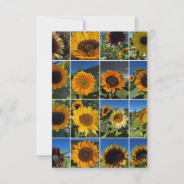 Cartão De Notas Sunny Day Sunflower Collage 