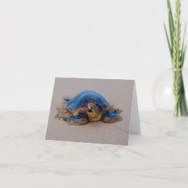 Cartão De Notas Tartaruga-do-mar