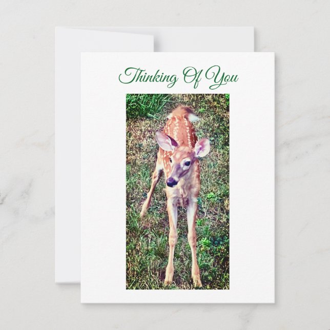 Cartão De Notas Thinking Of You Flat Note Card With Fawn (Frente)