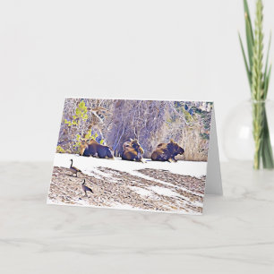 Cartão De Notas Três alce, notório