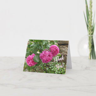 Cartão De Notas Três Rosas Rosa/Obrigado!