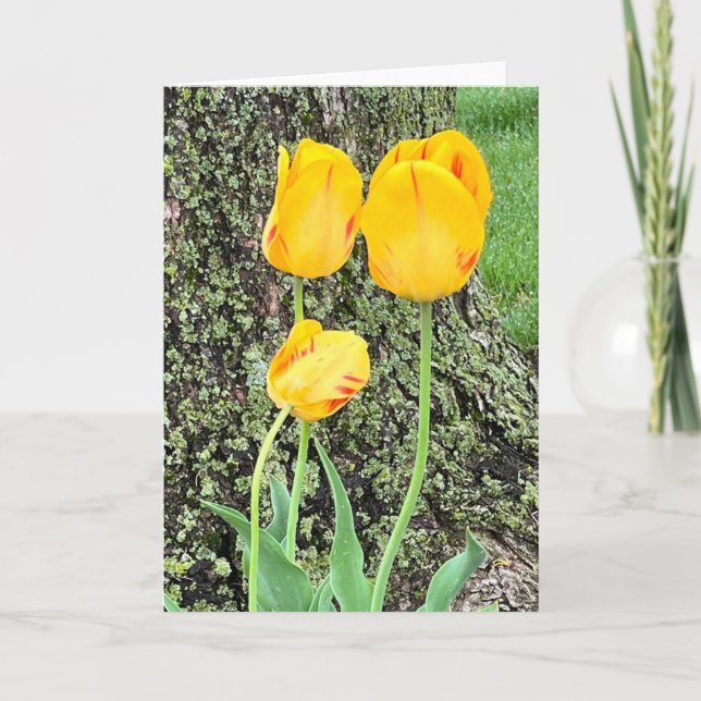 Cartão De Notas Três Tulipas Amarelas / (Frente)