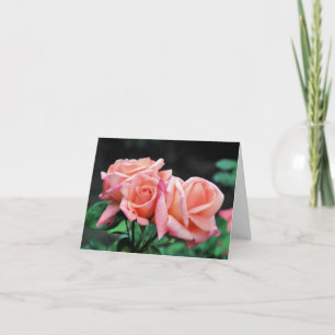 Cartão De Notas Trio de Rosas Peachy Fotografia de Flores
