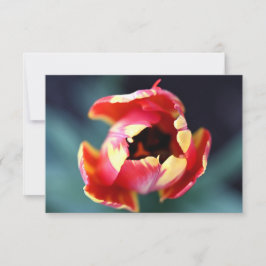 Cartão De Notas Tulip Notecard