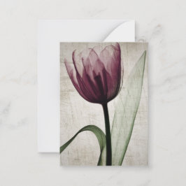Cartão De Notas Tulipa de Raio-X Vintage