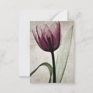 Cartão De Notas Tulipa de Raio-X Vintage
