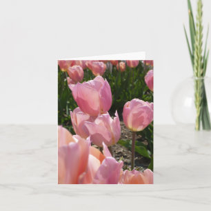 Cartão De Notas Tulipas Rosa