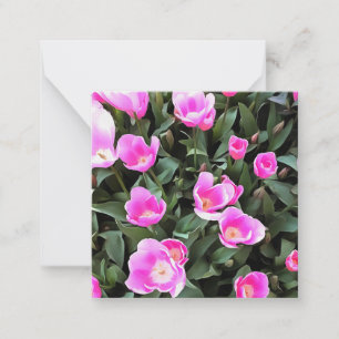 Cartão De Notas Tulipas Rosa Delicadas de Istambul