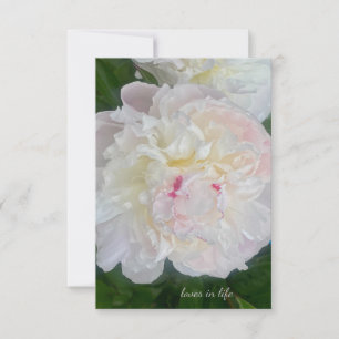 Cartão De Notas Um Sonhador Blush Peony