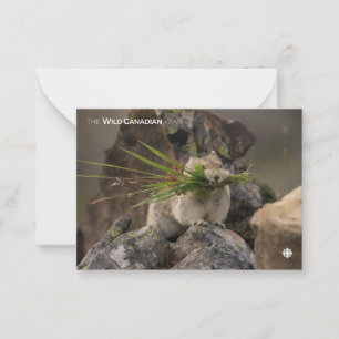 Cartão De Notas Verão - América Latina