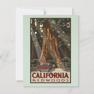 Cartão De Notas Vintage California Redwoods Viagem