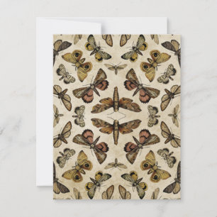 Cartão De Notas Vintage Moths