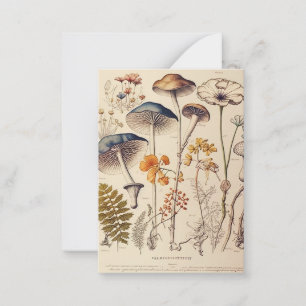 Cartão De Notas Vintage Mushroom Naturalist