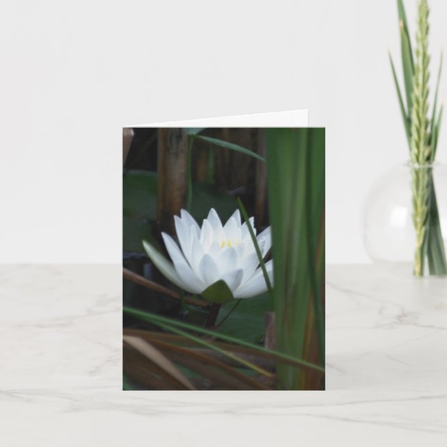 Cartão De Notas Water Lily Lotus Aglow Flower Photography  (Frente)
