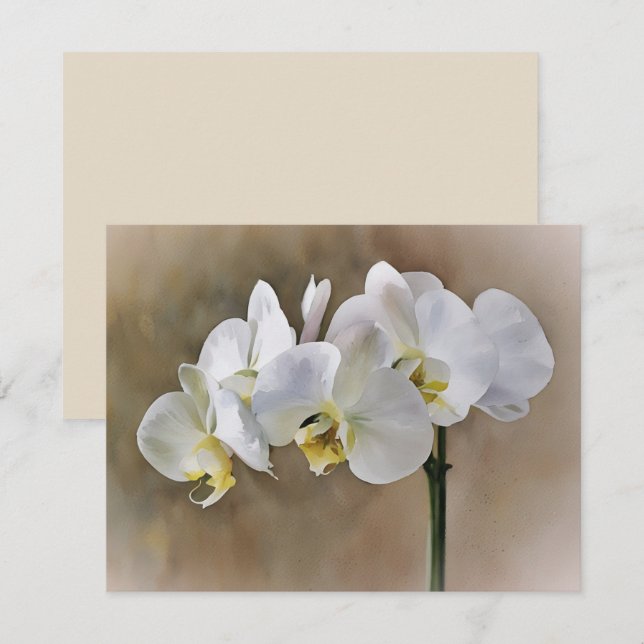 Cartão De Notas White Orchid Flowers Art Note Card Set  (Frente/Verso)