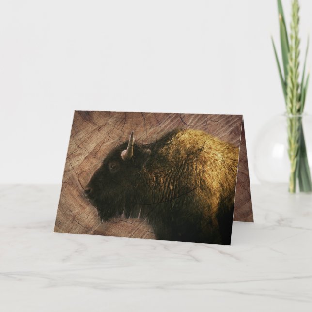 Cartão De Notas Wood Bison Buffalo (Frente)