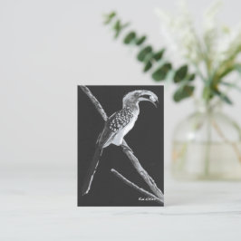 Cartão De Notas Yellow Billed Hornbill, Kalahari Animal Book