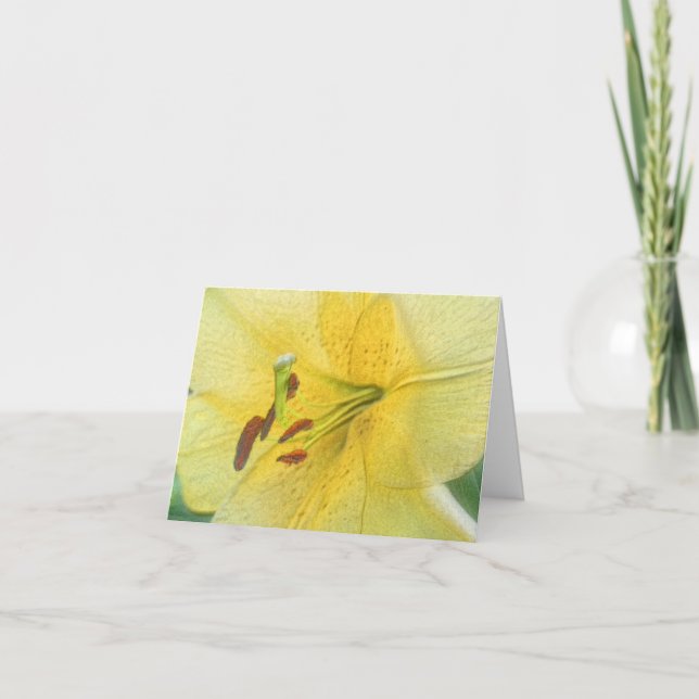 Cartão De Notas Yellow Lily Flower Art Personalized (Frente)