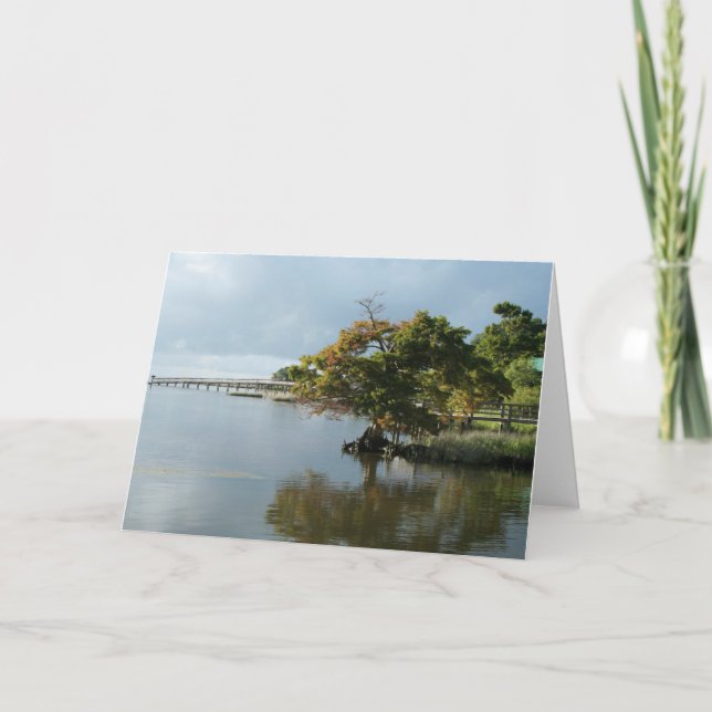 Cartão de OBX (Frente)