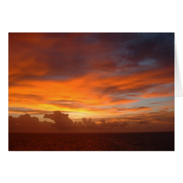 Cartão de Ocasião Twilight All (Frente Horizontal)