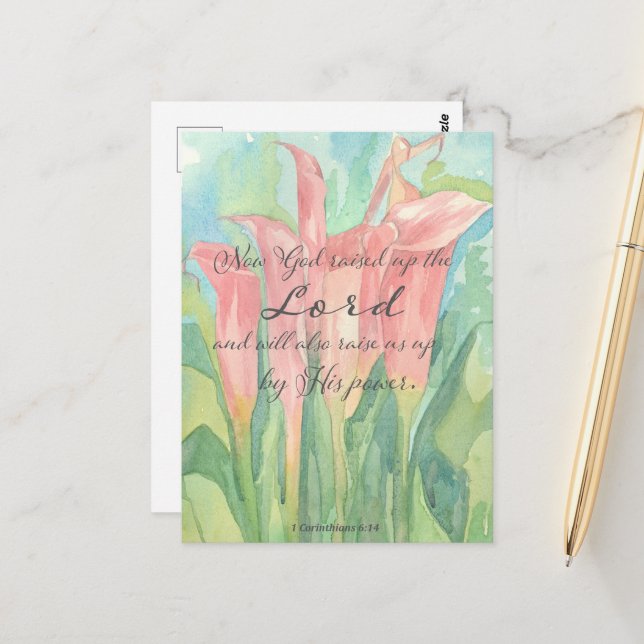 Cartão De Oração 1 Flores De Lily De Calla Rosa Co (Frente/Verso In Situ)