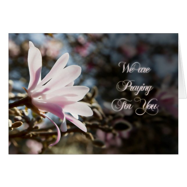 Cartão de oração com magnólia (Frente Horizontal)