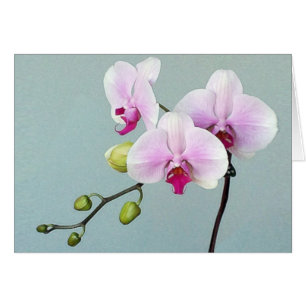 Cartão de Orji da orquídea