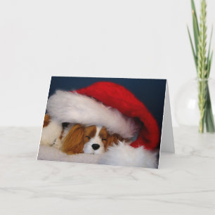 Cartão de Papai noel Cavalier King Charles Blenhei