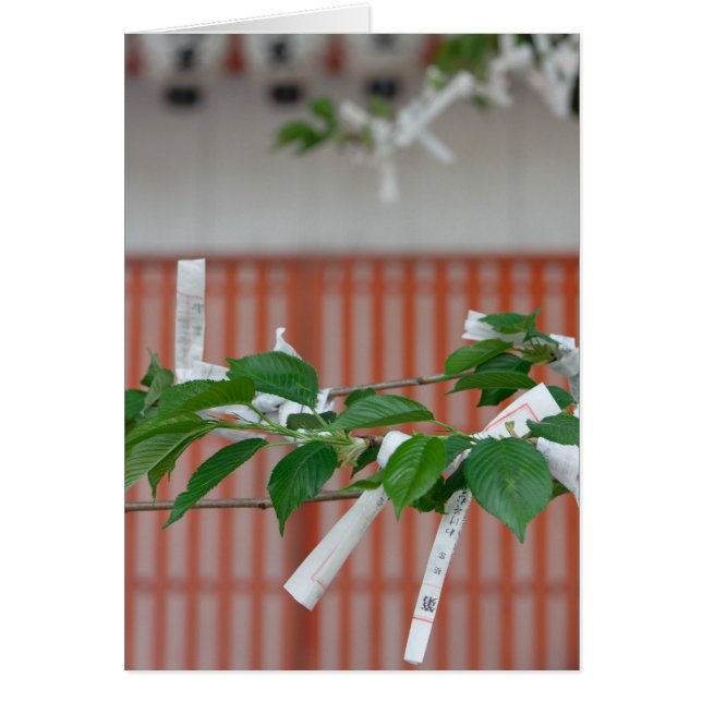 Cartão de papel das fortunas (Frente)