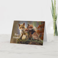 Cartão de Parabéns Fotográficos de Kits Fox