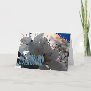 Cartão de Parabéns Russo com Flores de Cereja