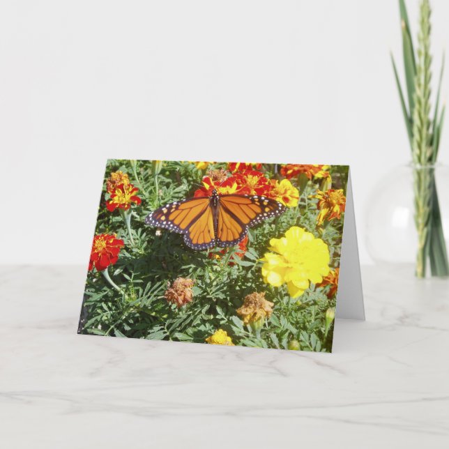 Cartão de Páscoa "Camuflando-se" (Frente)