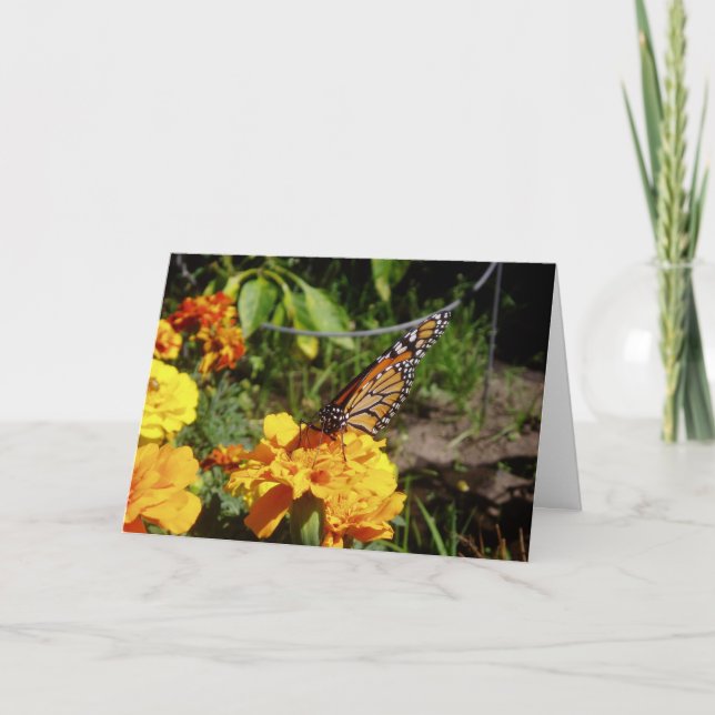 Cartão de Páscoa "Em Repouso" (Frente)