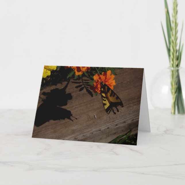 Cartão de Páscoa "Morning Shadow" (Frente)